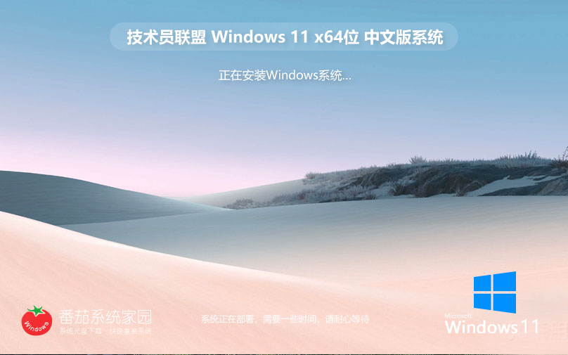 Win11安全穩(wěn)定版下載 技術員聯(lián)盟x64位 高性能ghost系統(tǒng) ISO鏡像下載
