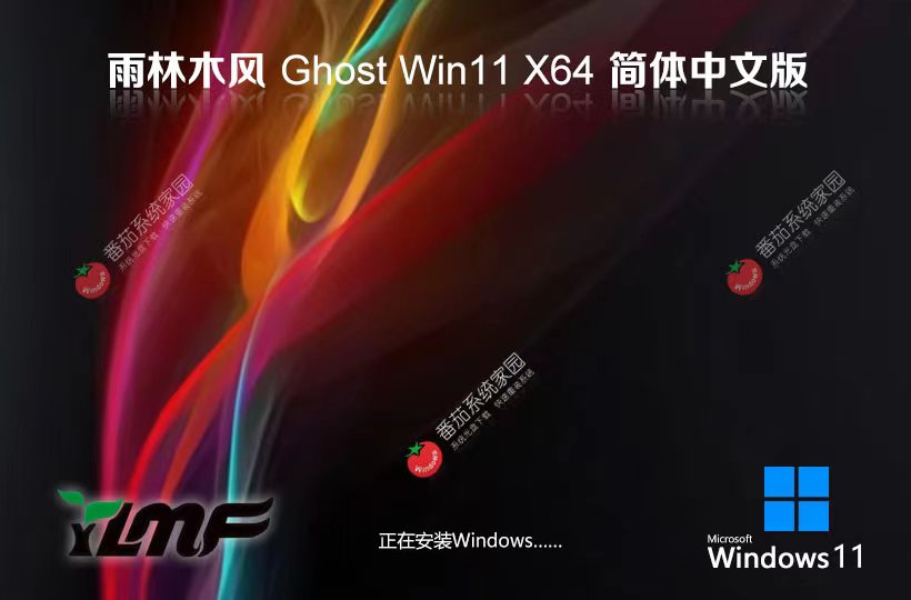雨林木風(fēng)win11最新娛樂版 64位簡(jiǎn)體中文版下載 Ghost 免激活工具下載