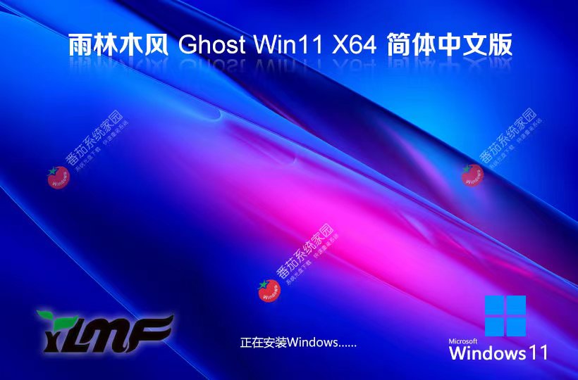 雨林木風(fēng)x64通用版下載 Windows11游戲?qū)Ｓ孟到y(tǒng) ghost系統(tǒng)下載 戴爾筆記本專(zhuān)用