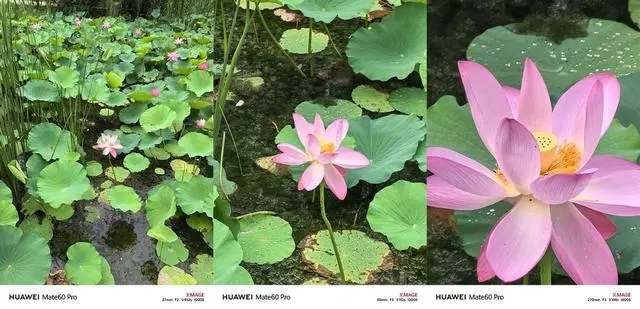 華為mate60配置怎么樣 華為mate60參數(shù)及價(jià)格介紹