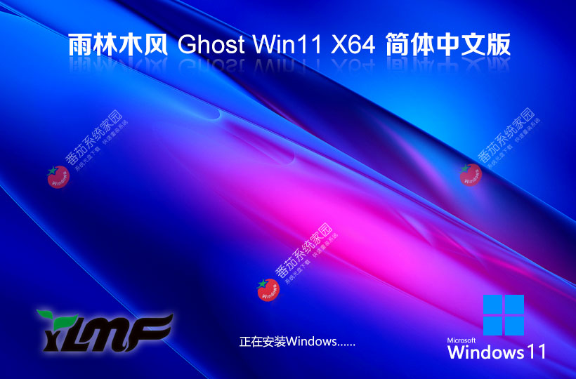  雨林木風(fēng)win11 64位 22H2 新機特速版