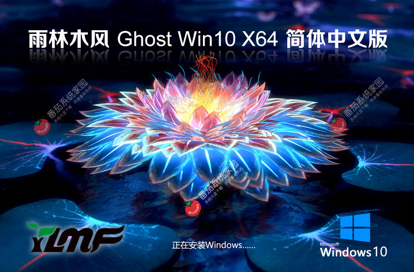 【適度精簡(jiǎn)】雨林木風(fēng) Windows10 64位 專業(yè)精簡(jiǎn)版