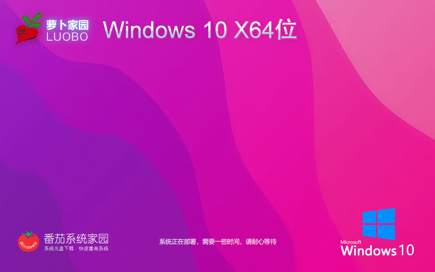 【巔峰性能，為專業(yè)而生】Windows10 22H2 64位 專業(yè)工作站版