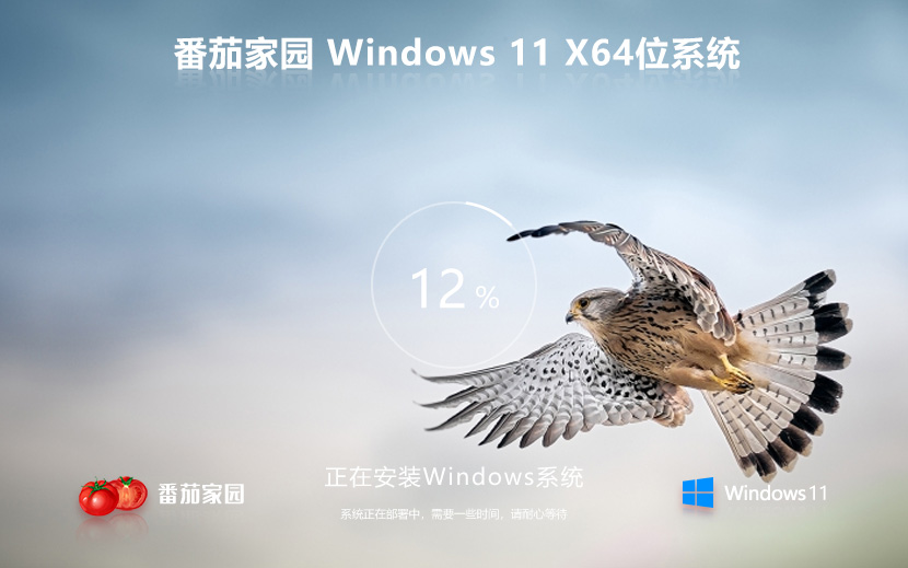 【7月最新】Windows11 23H2 X64 精簡專業(yè)版