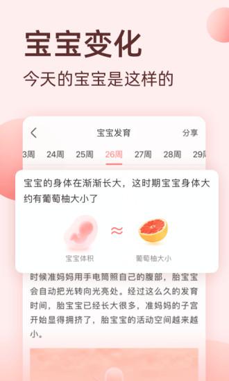 柚寶寶