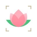 識花君app
